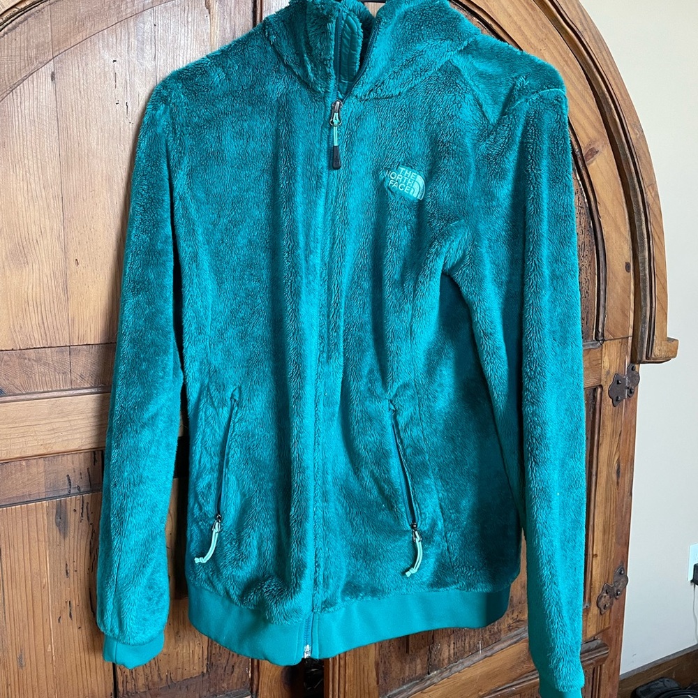 Fuzzy northface jacket